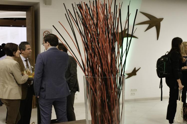 Triple-A participation in the LAUNCH Investor Forum, Brussels, Belgium