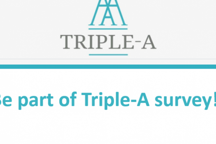 Triple-A Questionnaires on Energy Efficiency Financing