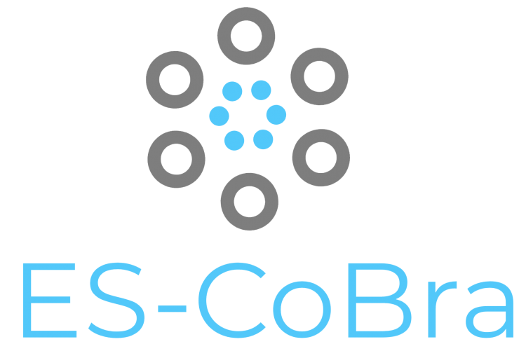 MES-CoBraD